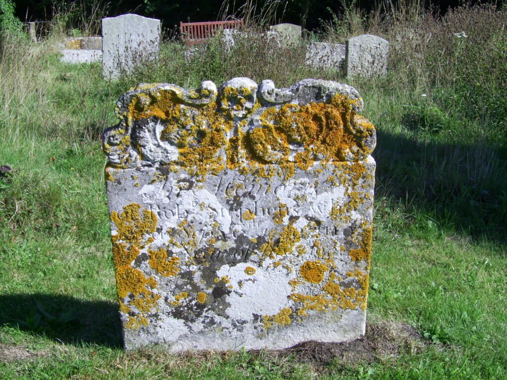 A lichen-covered gravestone in an English churchyard, the kind of undisturbed old stone Living Churchyards schemes value for rare lichen species