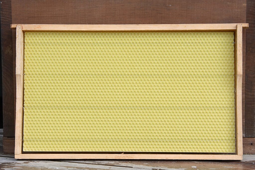 Beeswax foundation sheet with embedded wires mounted in a wooden hive frame