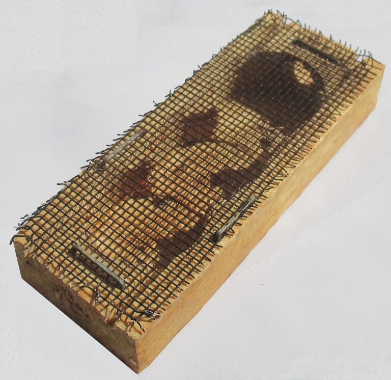 A modern wooden and mesh queen bee mailing cage with three compartments, one holding candied honey for feed during transit