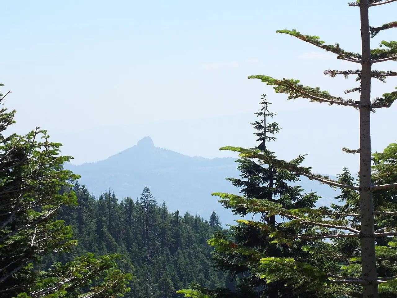 Pilot Rock landmark viewed from Mount Ashland, Oregon, near the site of the last confirmed Franklins bumblebee sighting in 2006