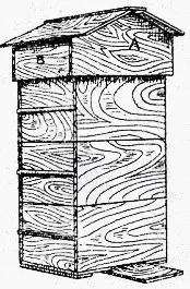 Illustration originale de la ruche populaire concue par l abbe Emile Warre