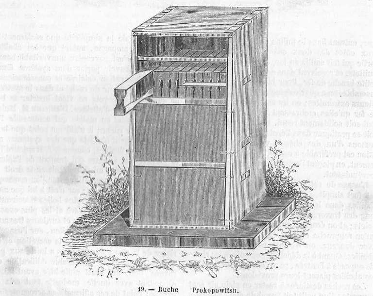 Illustration ancienne montrant la conception de la ruche a cadres de Petro Prokopovytch