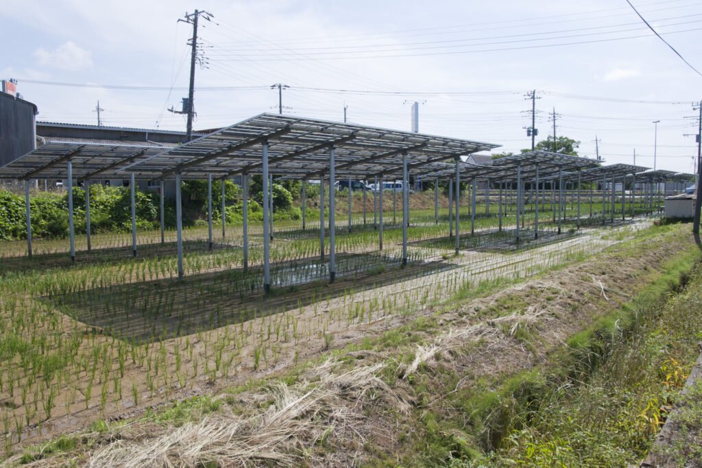 Rows of elevated solar panels above cultivated farmland at a solar sharing power plant in Kamisu, Ibaraki, Japan