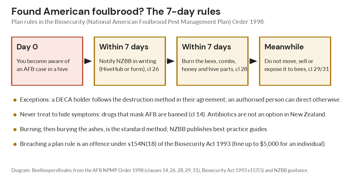 Flow diagram of New Zealand AFB rules: notify NZBB within 7 days, burn the colony within 7 days, do not move or sell gear