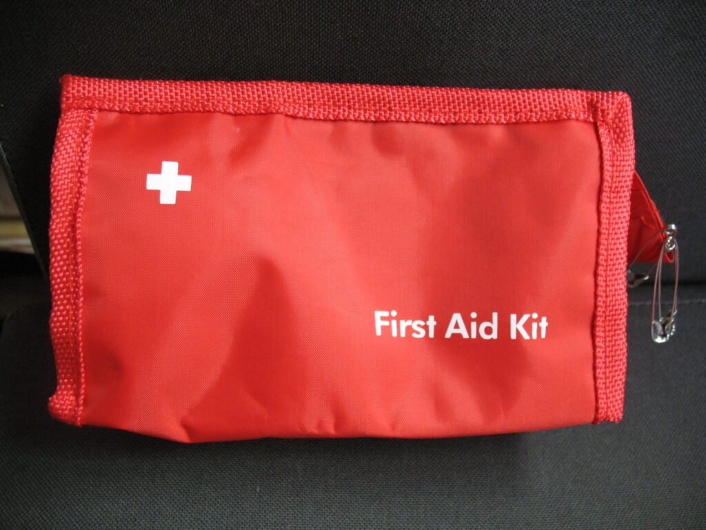 Compact first aid bag of the kind beekeepers keep at the apiary for sting emergencies