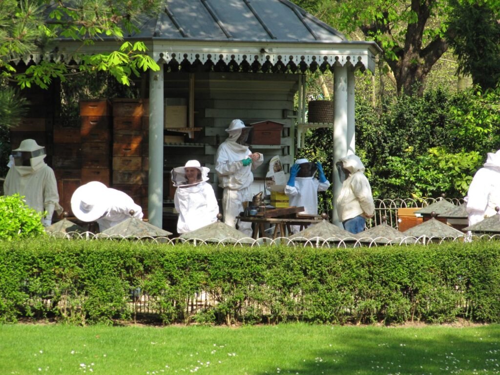 Apiculteurs bénévoles travaillant sur les ruches du rucher-école du Jardin du Luxembourg à Paris