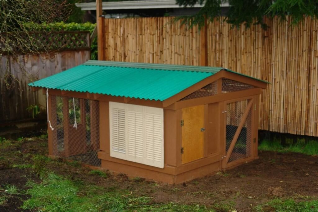 Permanent backyard chicken coop used for comparing homestead animal time budgets