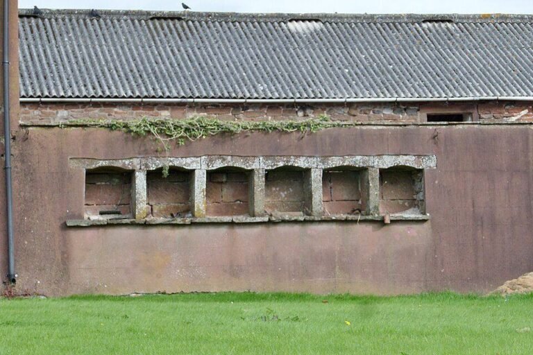 Row of six bee boles built into a stone farm wall in Cumbria