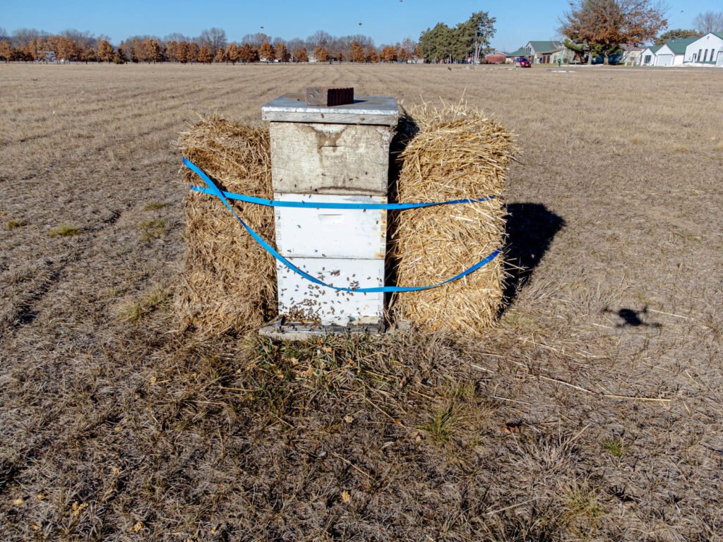 Beehive wrapped in hay bales for winter insulation near a residential neighborhood