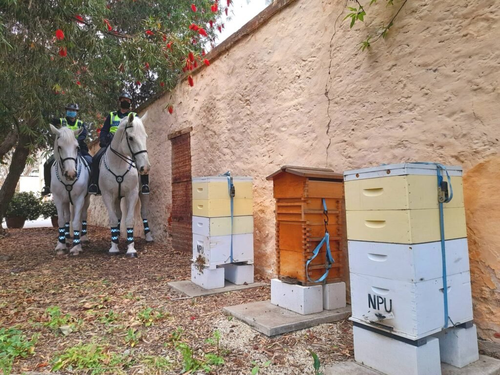 Beehives hosted against a wall on government property, an example of a third-party hosting site