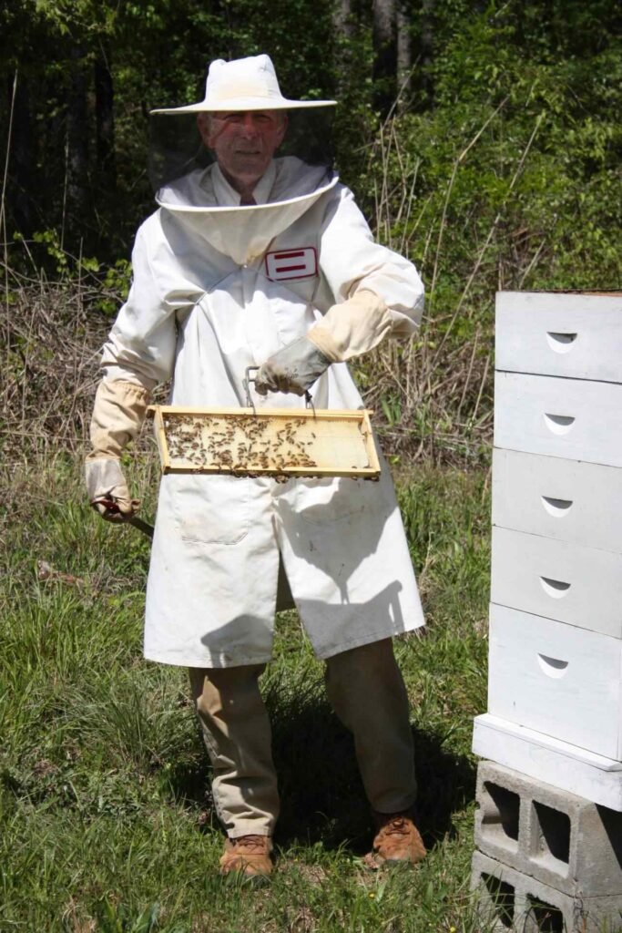 A beekeeper wearing a hat-supported mesh veil, the modern descendant of the 19th-century hat-and-netting design