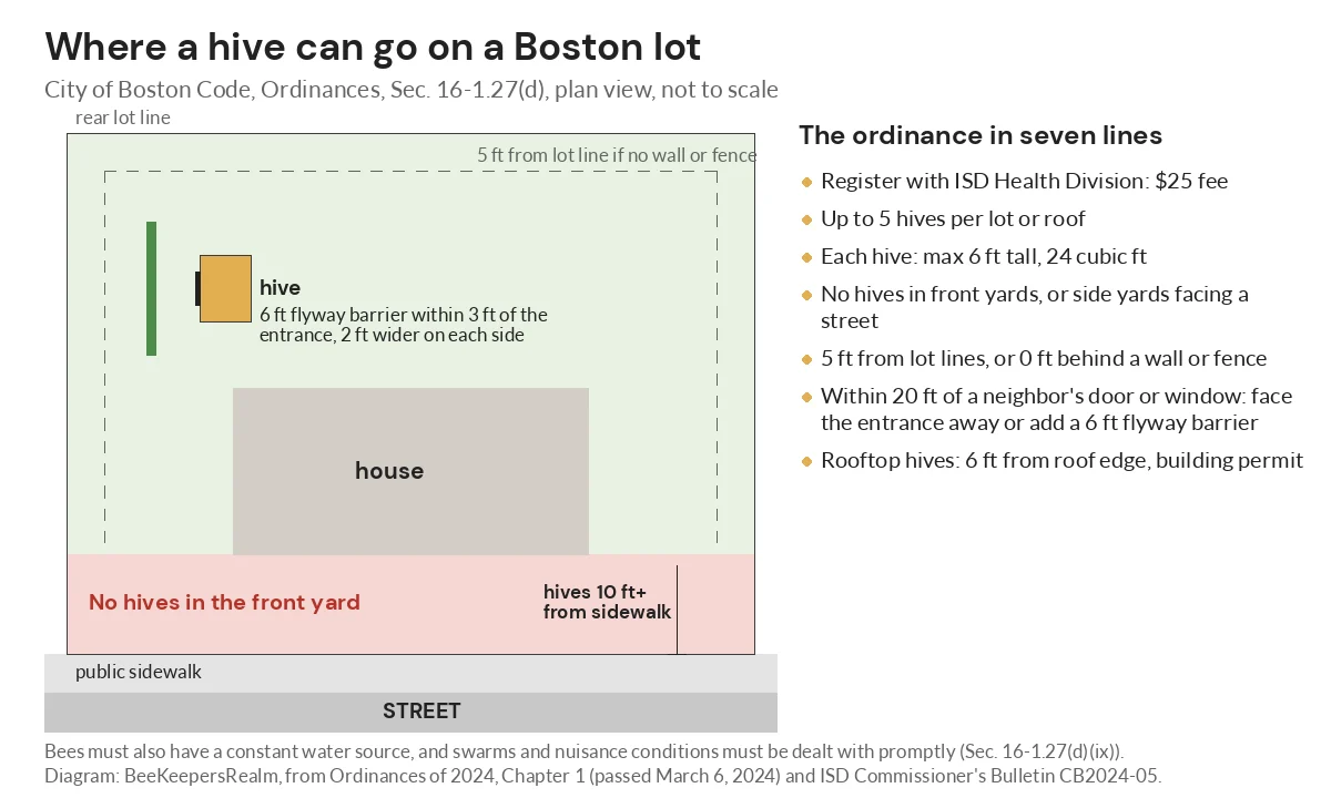 Plan diagram of a Boston lot showing a rear-yard hive behind a flyway barrier and the no-hive front yard