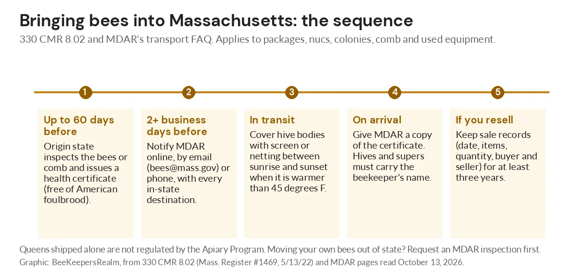 Five-step timeline for bringing bees into Massachusetts, from a 60-day health inspection to keeping sale records