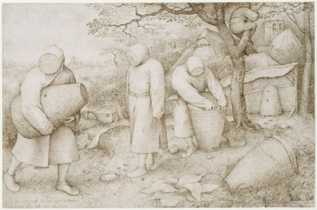 A 1568 pen-and-ink drawing by Pieter Bruegel the Elder depicting beekeepers, illustrating the long tradition of passing down beekeeping knowledge