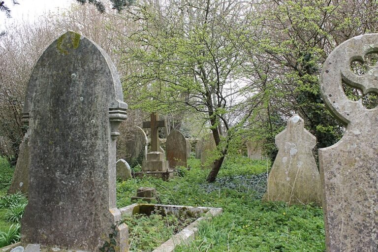 Old stone gravestones surrounded by unmown grass and trees in a churchyard managed as a wildlife meadow