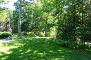 Open lawn and garden grounds at Coastal Maine Botanical Gardens, home to a permanent honey bee Learning Apiary