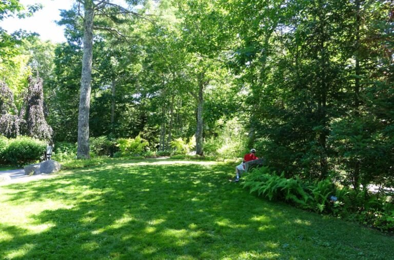 Open lawn and garden grounds at Coastal Maine Botanical Gardens, home to a permanent honey bee Learning Apiary
