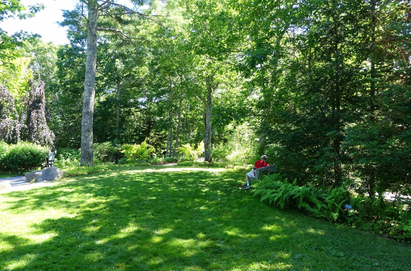 Open lawn and garden grounds at Coastal Maine Botanical Gardens, home to a permanent honey bee Learning Apiary