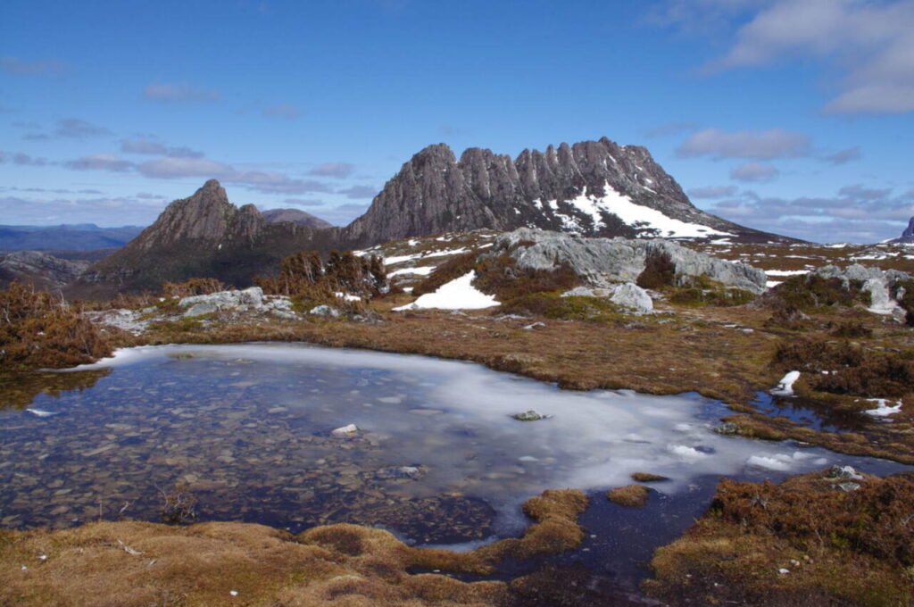 Cradle Mountain in the Tasmanian Wilderness World Heritage Area, part of the region that supports leatherwood forest