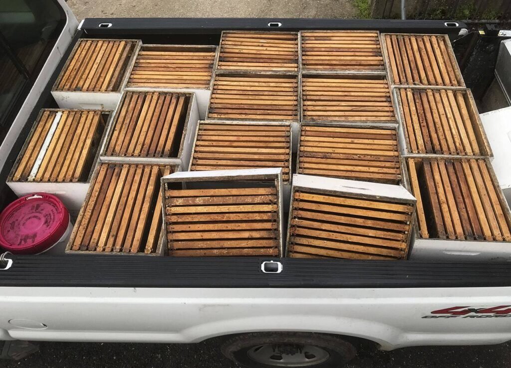 Wooden hive boxes staged for a spring apiary setup, the kind of registered colony location Ohio requires beekeepers to report to ODA