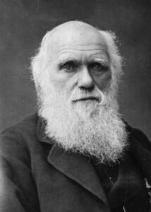 1881 portrait photo of Charles Darwin, whose bee experiments informed evolution theory