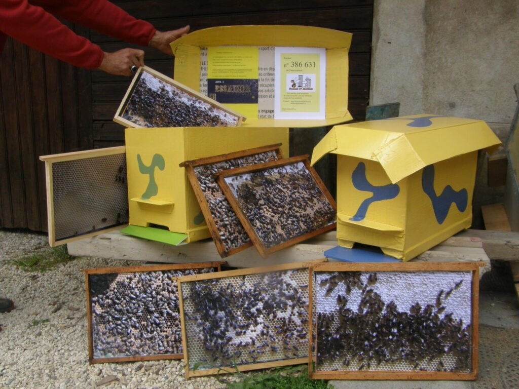 Bright yellow educational demonstration hives used to teach a community group about beekeeping