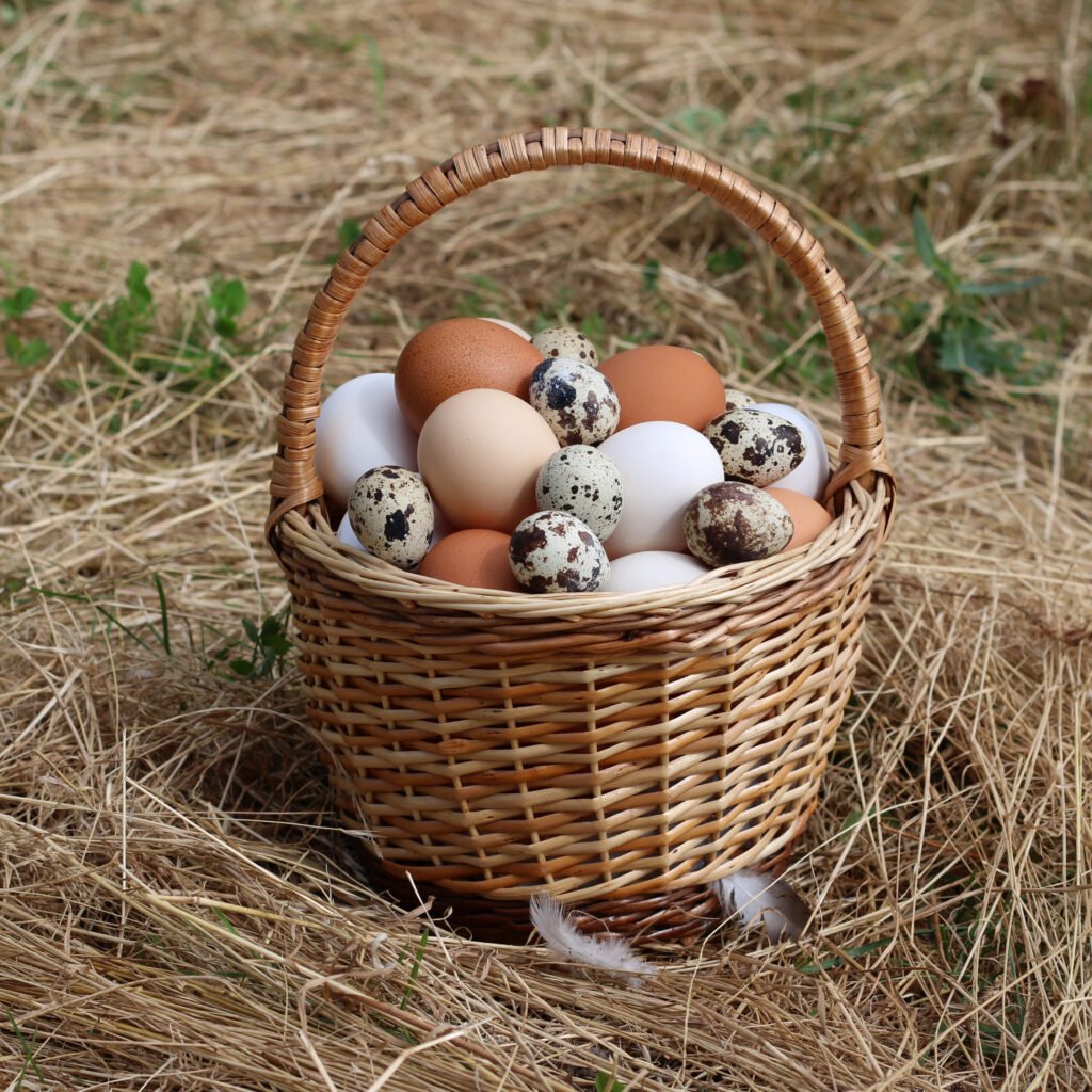 A basket of fresh brown eggs, one of the most common items homesteaders barter for honey