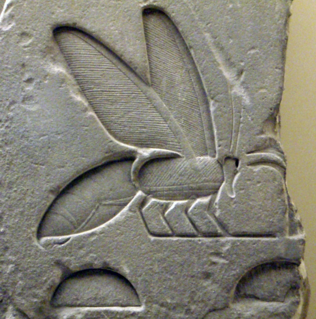 An ancient Egyptian relief carving of the bee hieroglyph from the tomb complex of Senusret I