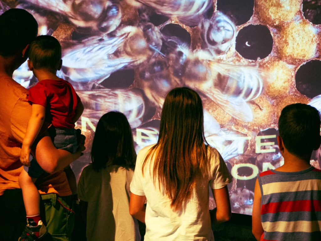 Family watching an immersive bee colony projection at an interactive beekeeping education center