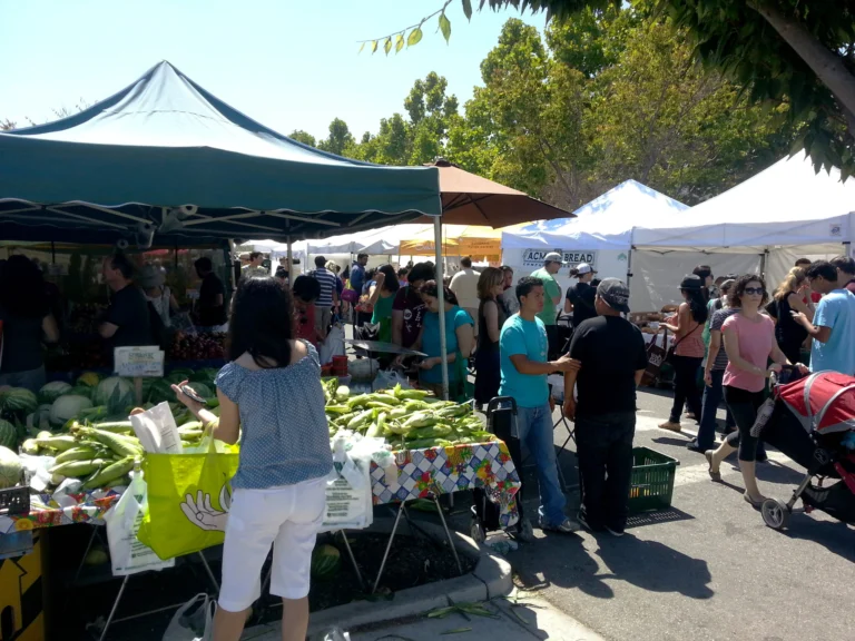 A weekly outdoor farmers market, one of the direct-to-consumer channels small honey producers use to sell honey