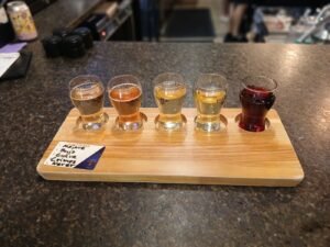 A flight of several different mead varieties in glasses side by side, representative of how meads are compared and scored at a homebrew competition
