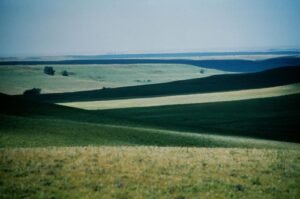 Photo of tallgrass prairie wildflowers in the Flint Hills, Kansas Great Plains