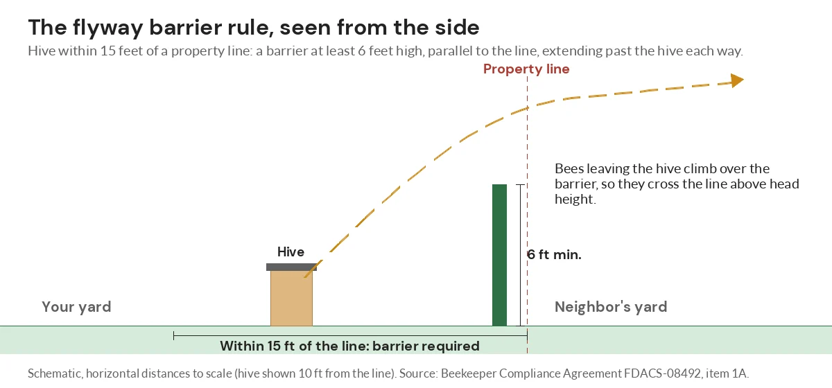 Side-view diagram of a hive 10 feet from a property line behind a 6-foot flyway barrier, with bees flying over it