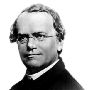 A black and white portrait photograph of Gregor Mendel, the geneticist who also kept around 50 bee colonies and attempted an unsuccessful bee-breeding experiment