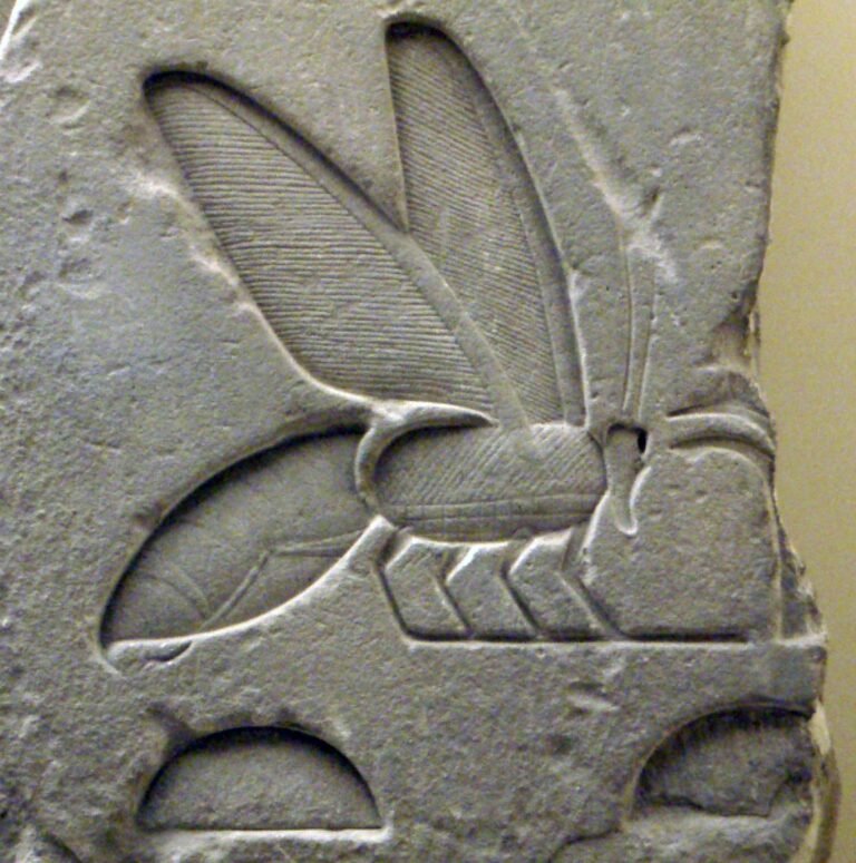 Detail du hieroglyphe de l'abeille faisant partie du titre royal egyptien nesout-bity, tombeau de Sesostris Ier
