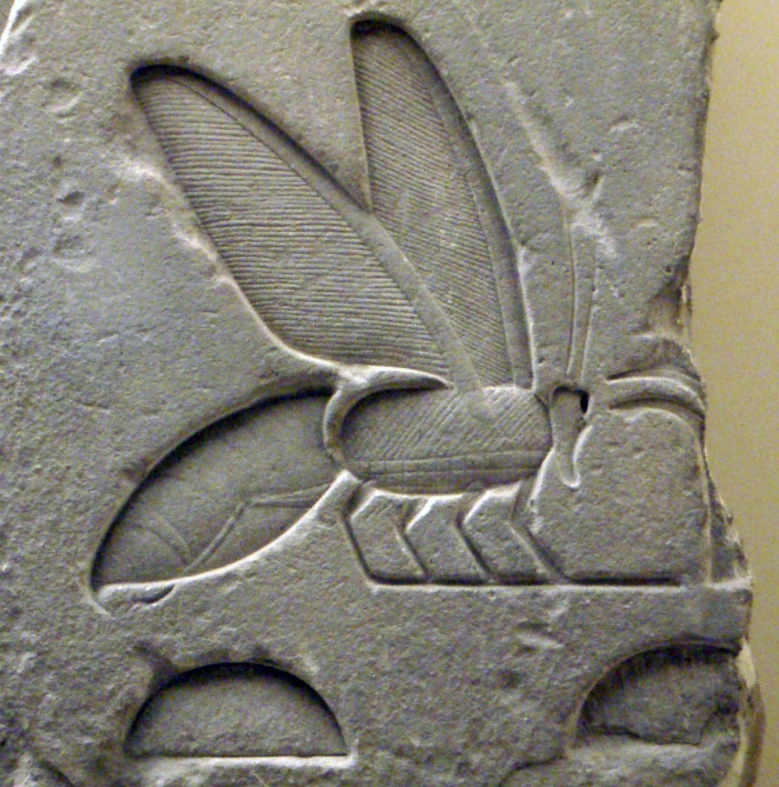 Detail du hieroglyphe de l'abeille faisant partie du titre royal egyptien nesout-bity, tombeau de Sesostris Ier