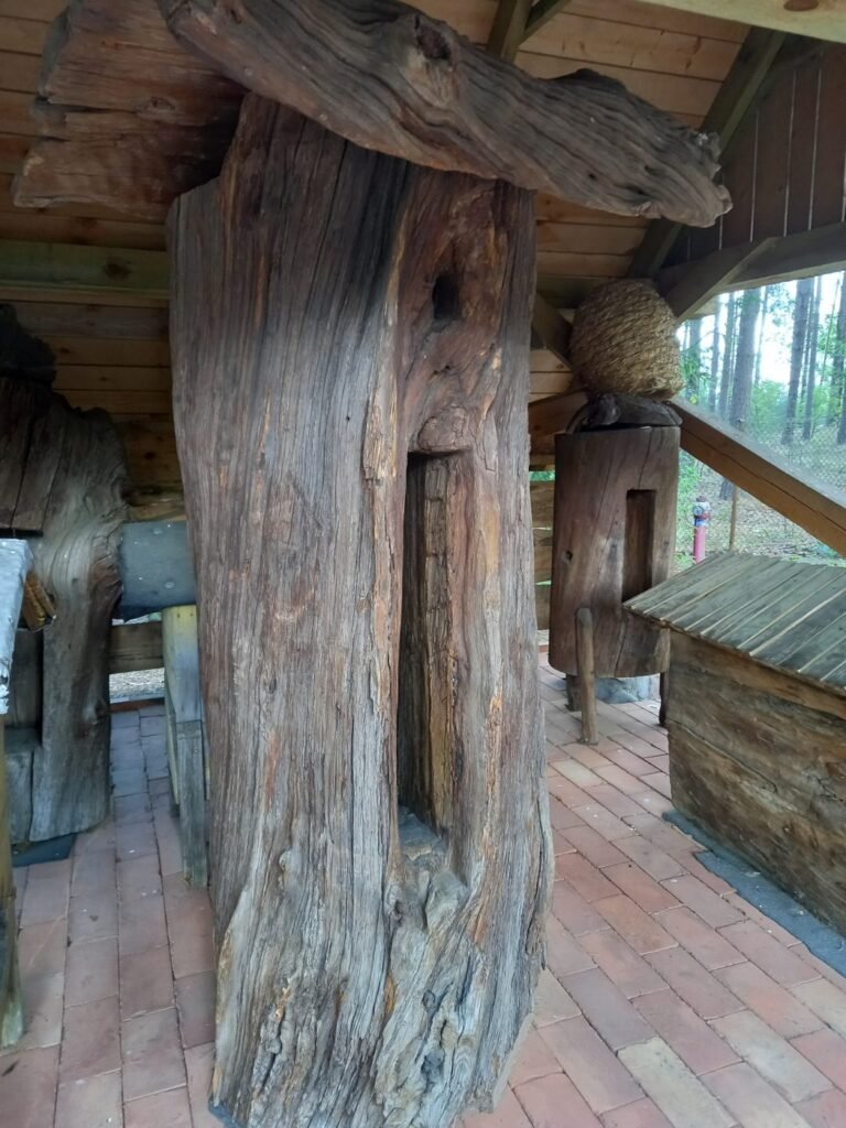 Traditional hollow tree-trunk beehive with a carved entrance, a design similar to an American bee gum