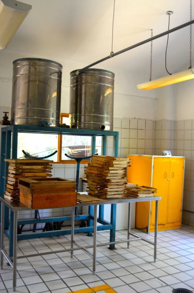 Metal honey settling tanks at an extraction facility, the bulk processing step before wholesale packaging