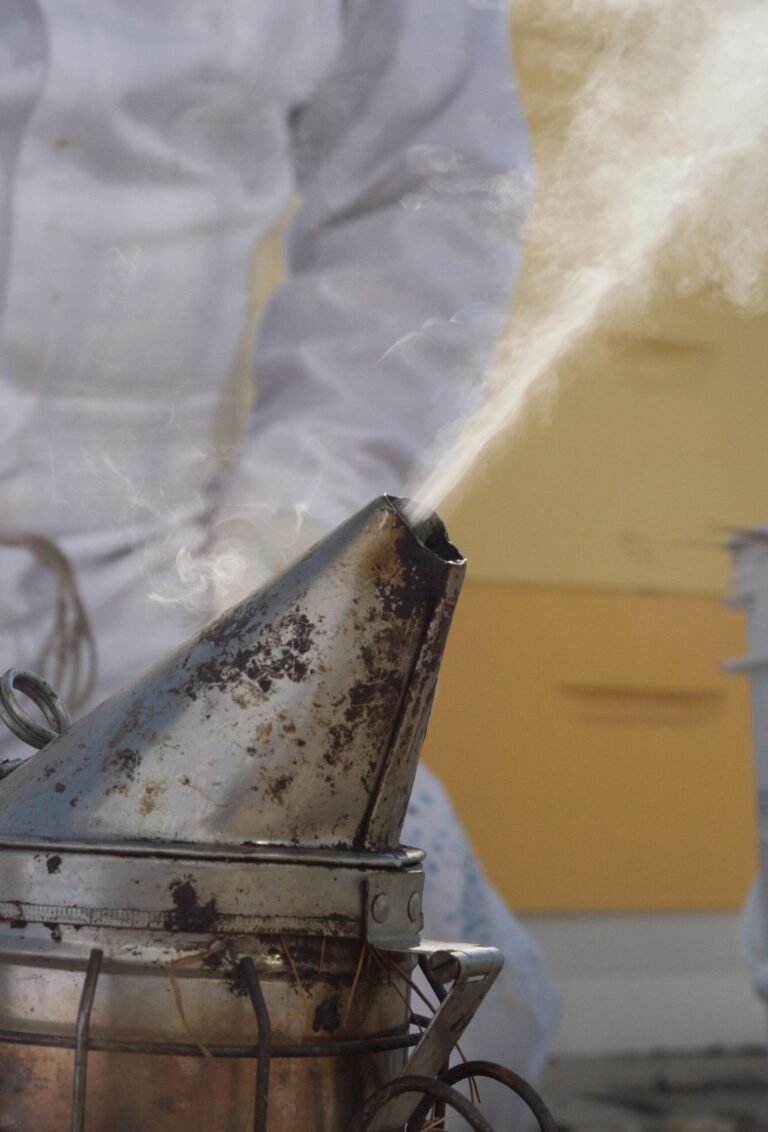 Photo of a beekeeper harvesting honey from frames during extraction