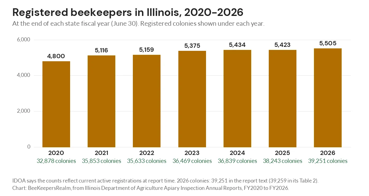 Bar chart of registered Illinois beekeepers rising from 4,800 in 2020 to 5,505 in 2026, with colony totals