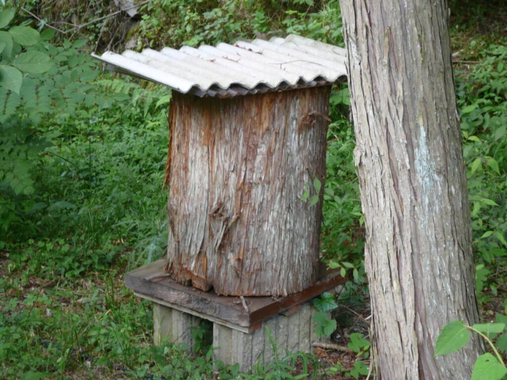 Traditional Japanese beekeeping with Apis cerana japonica colonies
