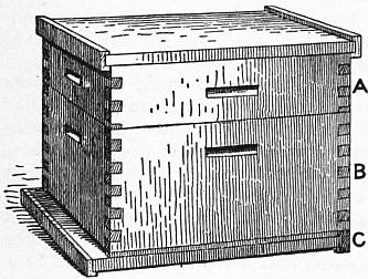 Illustration of a Langstroth movable-frame hive, the design that started commercial beekeeping in New Zealand in 1878