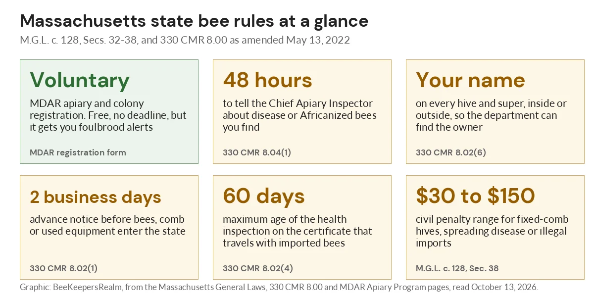 Graphic of six Massachusetts bee rules, from voluntary registration to the $30 to $150 civil penalty range