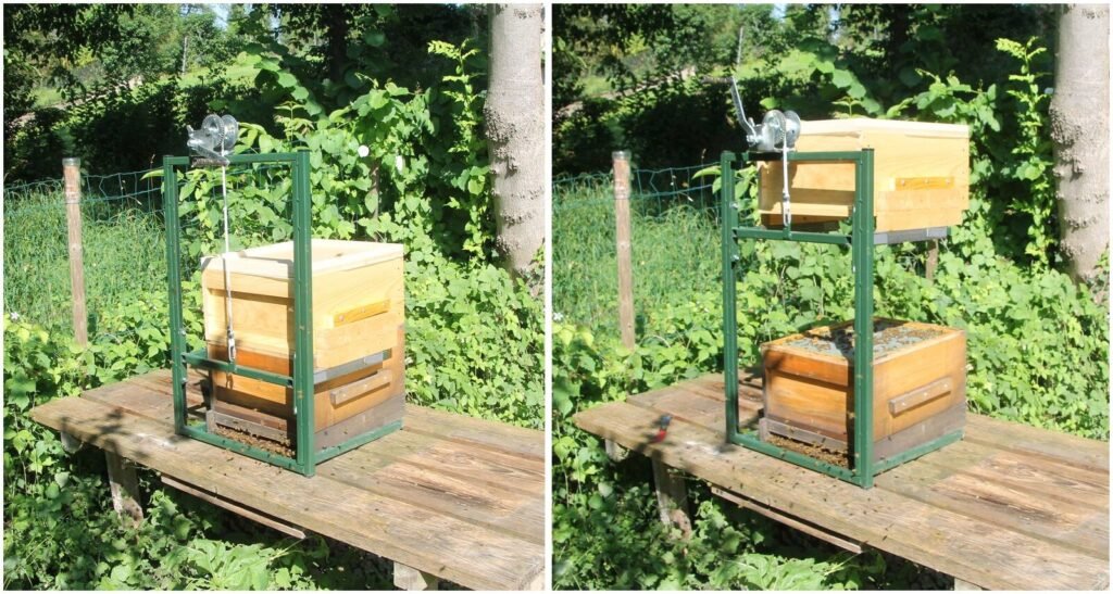 Mechanical hive lifter equipment used to raise heavy beehive boxes for inspection