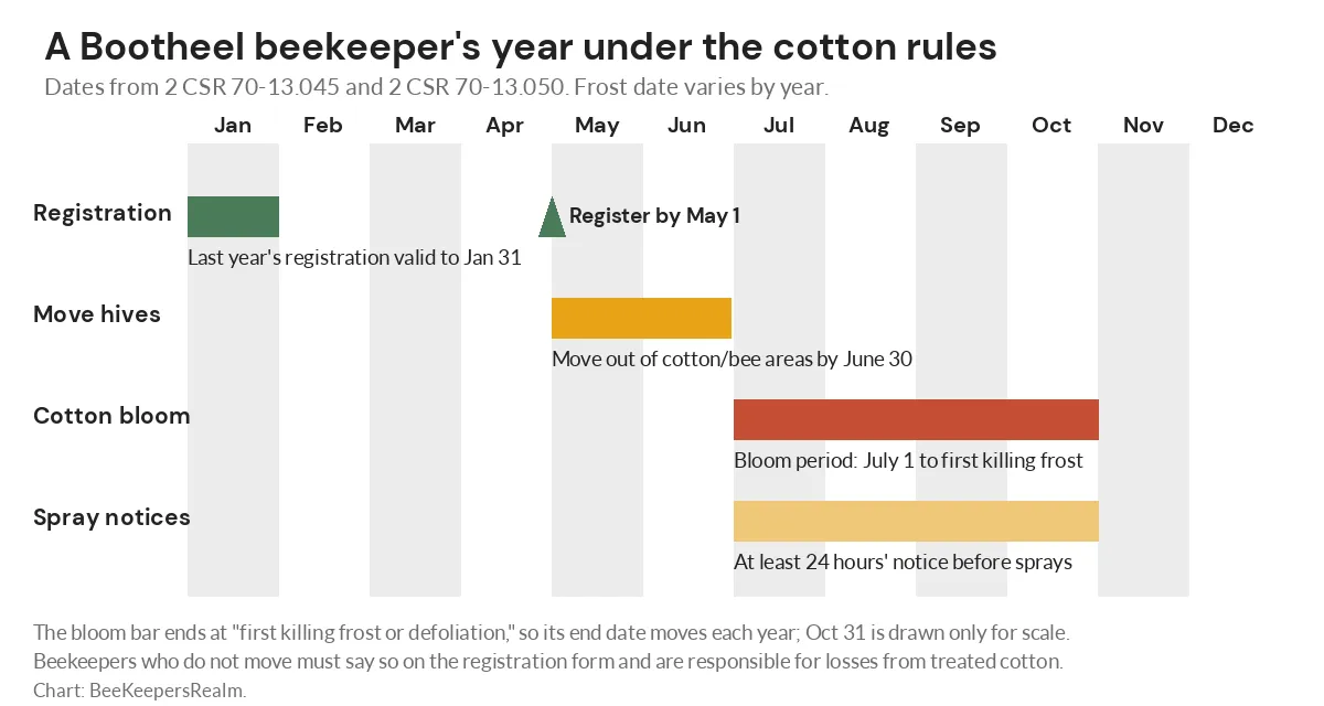 Calendar chart of Bootheel apiary deadlines: register by May 1, move hives by June 30, cotton bloom from July 1