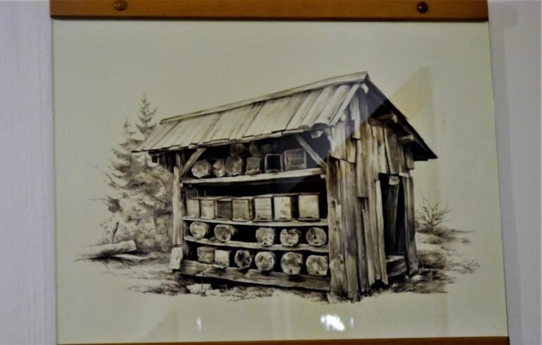 Historic building of the Museum of Apiculture in Radovljica, Slovenia, housed in Radovljica Manor since 1959