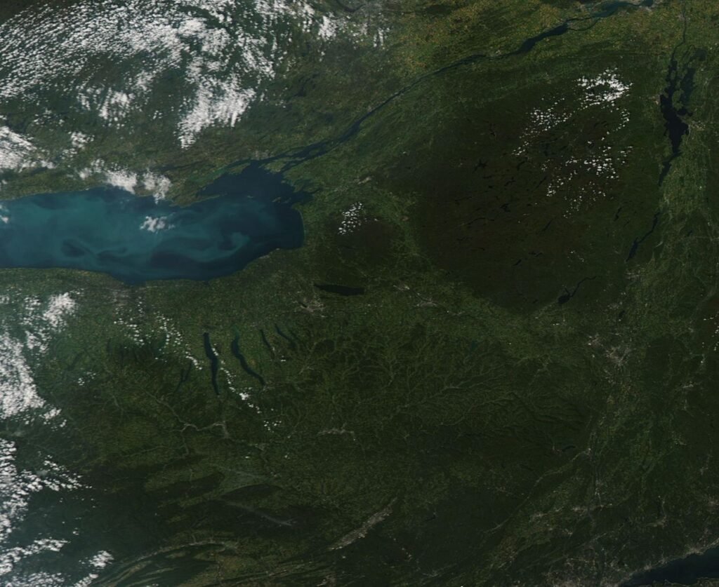 Forested landscape across New York State, the type of terrain surrounding Cornell Arnot Forest