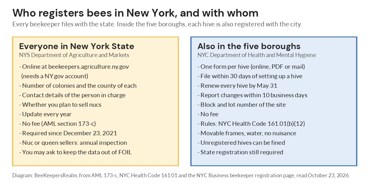 Diagram comparing New York State beekeeper registration with the extra per-hive registration required in New York City