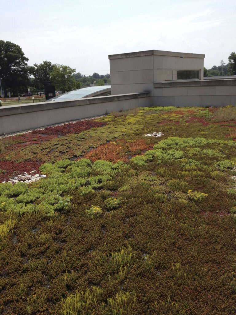 Colorful sedum green roof planting on a federal building at the NIH campus