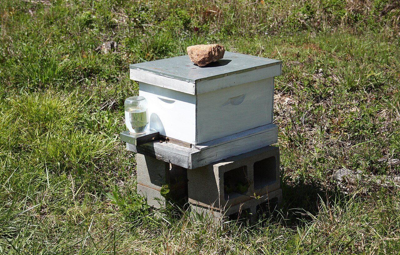 A beehive box, the kind of registered apiary equipment North Dakota law requires to display a visible identification sign
